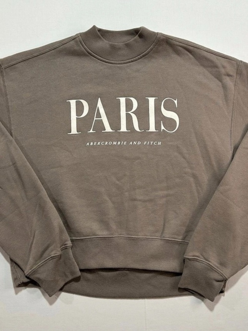 Abercrombie & Fitch Paris Graphic Mock Neck Sweatshirt Brown XXS